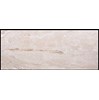 Gạch ốp lát Ấn Độ 60x120 VA-6201