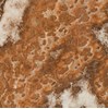 Gạch vi tinh ngọc thạch 100x100 HCT10101