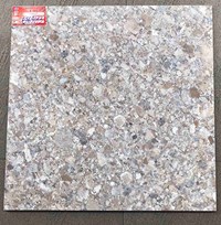 Gạch lát nền Ý Mỹ 600x600 EF69013