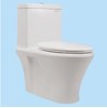 Bàn cầu 1 khối Thiên Thanh Sun K5430HS2T