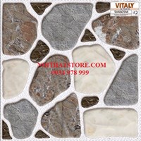 Gạch sân vườn giá rẻ 50x50 SV4605M
