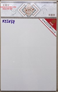Gạch giá rẻ 25x40 KTSV37