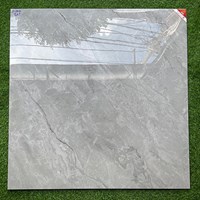 Gạch lát nền Prime 100x100 21007