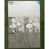 Đá bán sứ ốp tường Viglacera 300x600 BS3641-3642