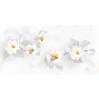 Gạch ốp tường Royal-Hoàng Gia 40x80 408300003D