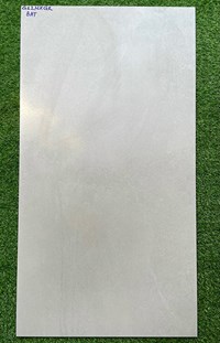 Gạch Taicera 60x120 đá mờ 2 da G12NXGR