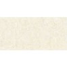 Gạch ốp lát Viglacera 30x60 BS3601