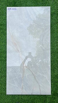Gạch ốp lát Ấn Độ 60x120 APK1202