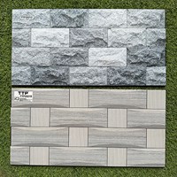 Gạch trang trí 25x50 giá rẻ men nhám TTP25213-25218