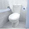 Bàn cầu 2 khối Thiên Thanh King B4829TS2T