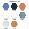 Gạch lục giác giá rẻ 20x23 đơn 1 màu LG-006M