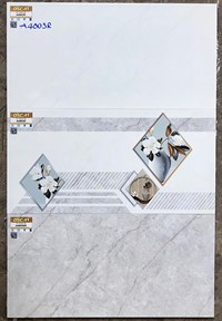 Gạch ốp tường Ý Mỹ 40x80 A4803R