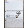 Gạch ốp tường Ý Mỹ 40x80 A4803R