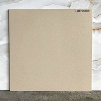 Đá lát sân vườn 50x50 LUX5300R