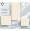 Gạch Viglacera 60x120 CLGP61208