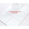 Gạch thẻ vuông trắng bóng phẳng 20x20
