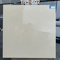Gạch lát nền Viglacera 2 da 80x80 TS5-802