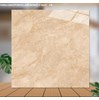 Gạch lát nền Catalan 100x100 10002