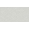 Gạch ốp tường Taicera 30x60 G63025