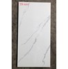 Gạch ốp lát Tasa 60x120 TS1207