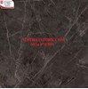 Gạch Hoàn Mỹ 100x100 vi tinh 54013