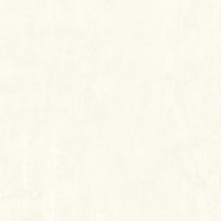 Gạch Bạch Mã 50x50 CG50010