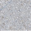 Gạch lát nền Ý Mỹ 600x600 EF69013