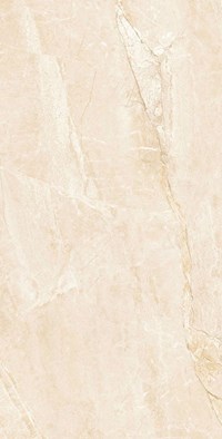 Gạch Takao 60x120 32101