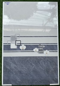 Gạch ốp tường giá rẻ 30x60 TP3664