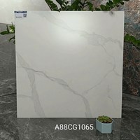 Gạch lát nền Apodio 80x80 mờ A88CG1065