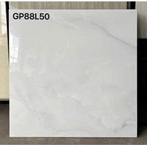 Gạch lát nền Taicera 80x80 GP88L50