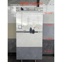 Gạch ốp tường Tasa 40x80 TS 4372-4370-4369-4371