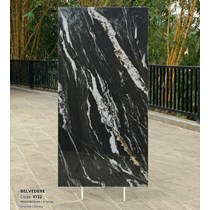 Gạch Tasa 90x180 bóng 9722