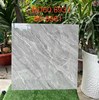 Gạch lát nền Tasa 80x80 8561