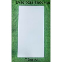 Gạch ốp lát Apodio 60x120 mờ 61161000