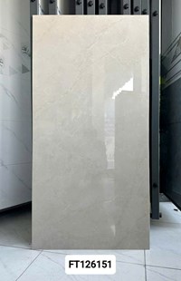 Gạch ốp lát Taicera 60x120 126151