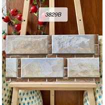 Gạch trang trí 3D Ấn Độ 30x60 3829B