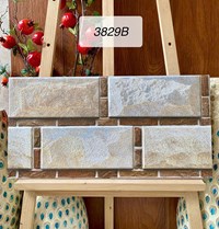 Gạch trang trí 3D Ấn Độ 30x60 3829B
