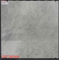 Gạch lát nền Taicera 80x80 GPC88906