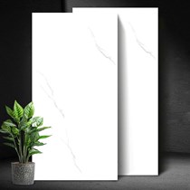 Gạch Vicenza 60x120 BC126815