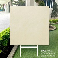Gạch lát nền Tasa 100x100 mờ 9903