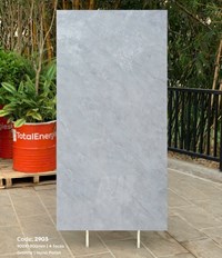 Gạch Tasa 90x180 bóng 2903