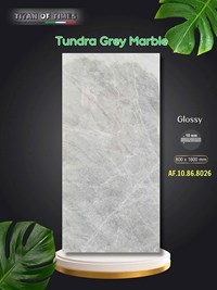 Gạch ốp lát Apodio 80x160 AF10868026