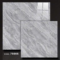 Gạch lát nền Vitto Hoàn Mỹ 80x80 75005
