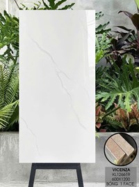 Gạch Vicenza 60x120 KL126619