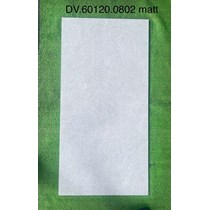 Gạch ốp lát Apodio 60x120 mờ 0802