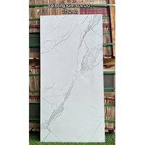 Gạch ốp lát Á Mỹ 60x120 CT5292