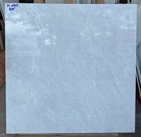 Gạch lát nền Vidona Mikado 60x60 6005