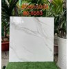Gạch lát nền Tasa 60x60 6933