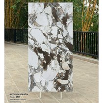 Gạch Tasa 90x180 bóng 9719